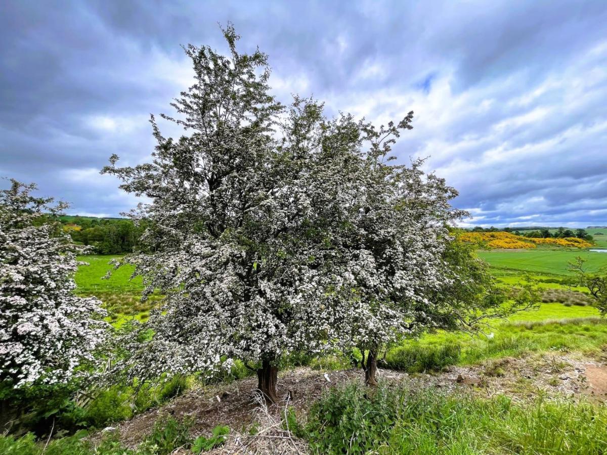 Deveron Valley Cottages Marnoch エクステリア 写真