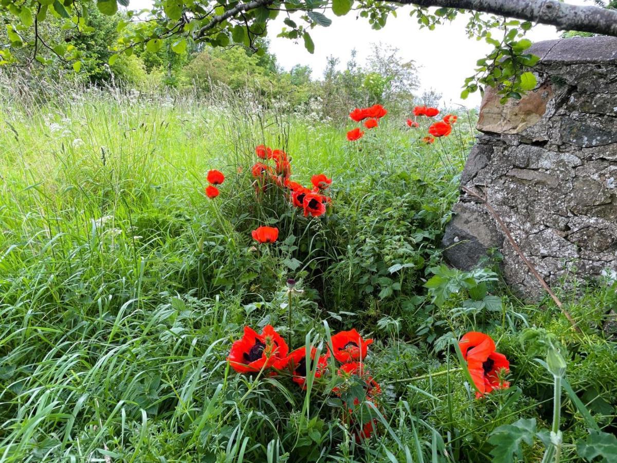 Deveron Valley Cottages Marnoch エクステリア 写真