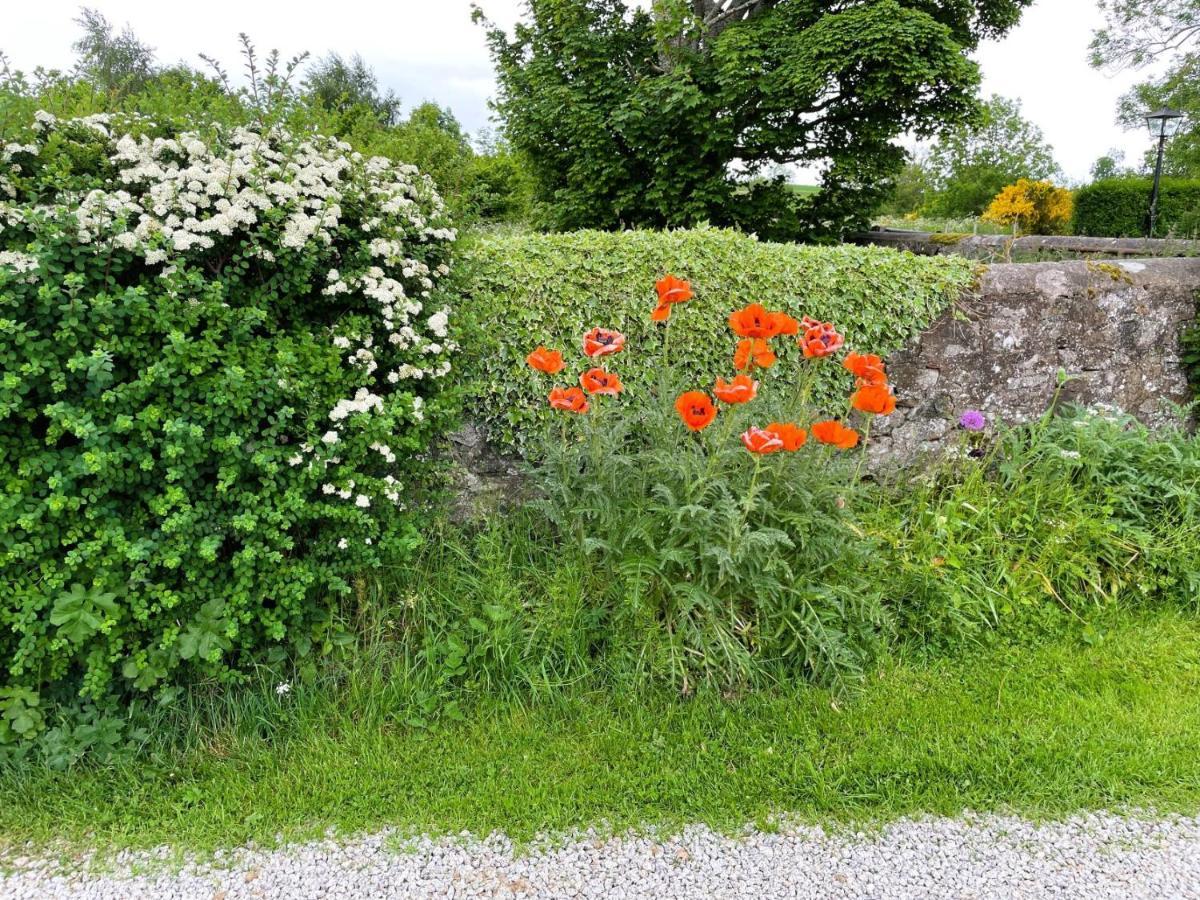 Deveron Valley Cottages Marnoch エクステリア 写真